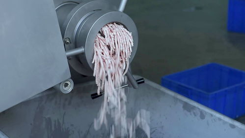 160凍肉絞肉機適用于大型的食品加工廠